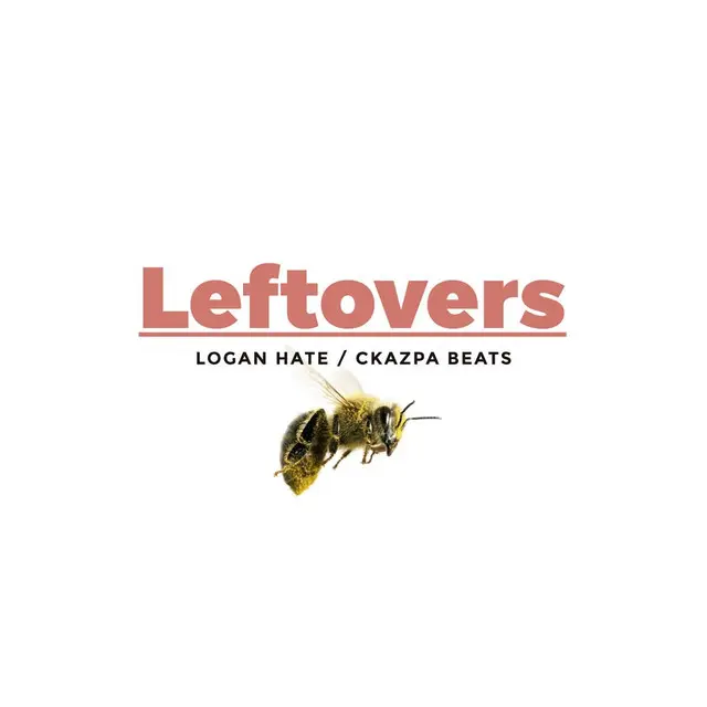 40. Logan Hate - Leftovers