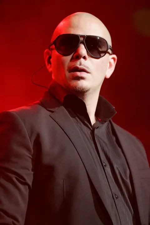 15 Pitbull 100