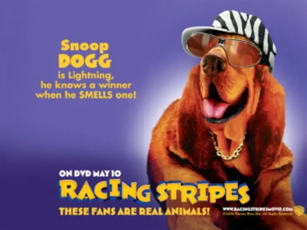 39. Racing Stripes 5,2