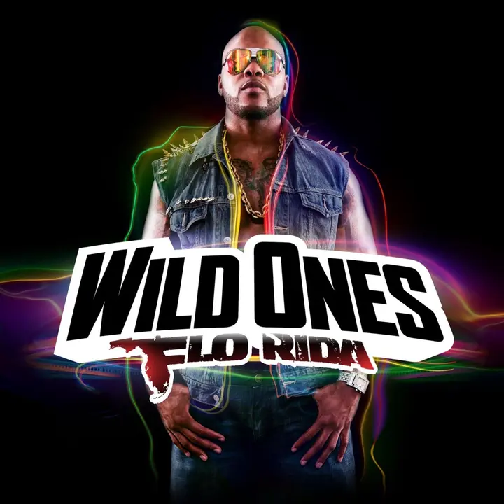 64. Flo Rida – Wild Ones