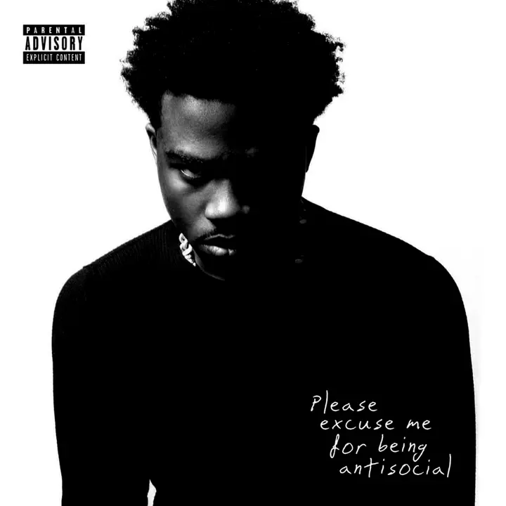 26. Roddy Rich – Please Excuse Me for Being Antisocial