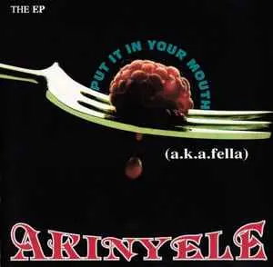 8. Akinyele “Put It In Your Mouth” (1996)