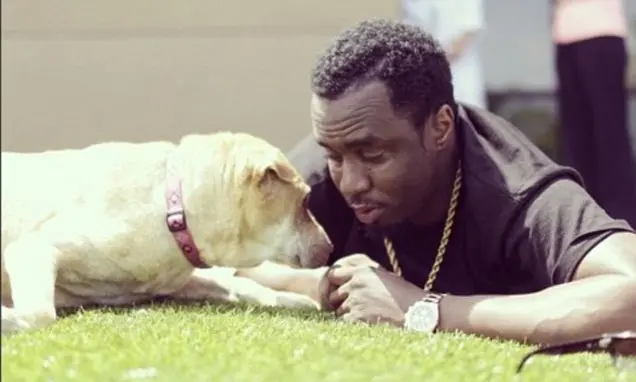Puff Daddy perro