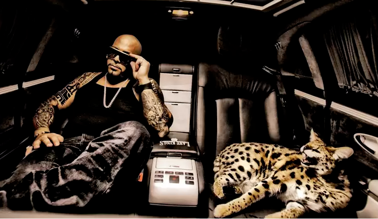 Mally Mall cheetah