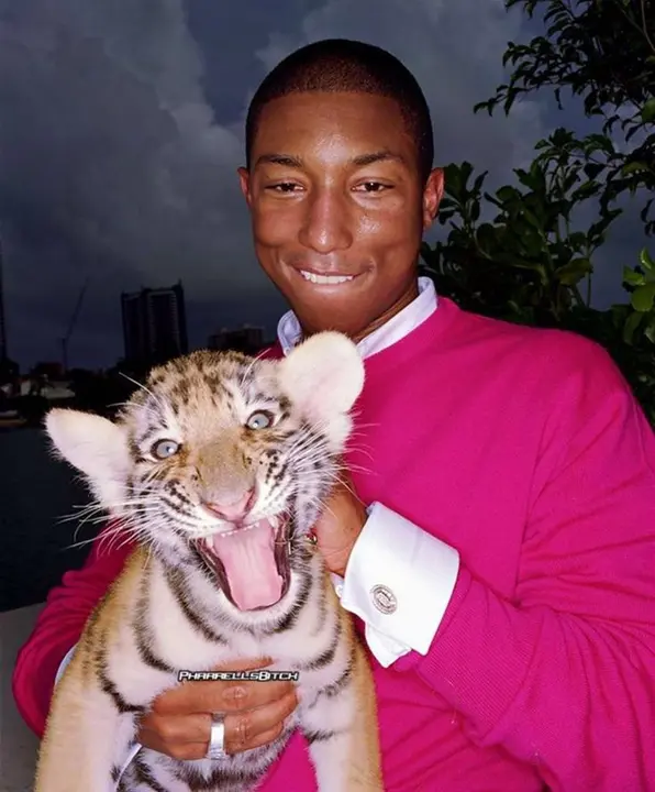 Pharrel williams tigre