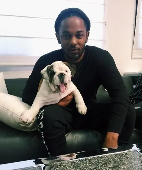 Kendrick Lamar perro