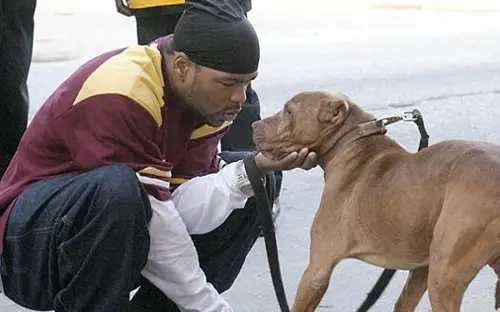 method man perro