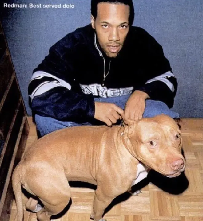Redman perro