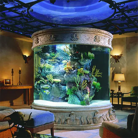 lil wayne acuario