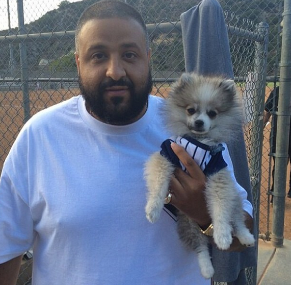 DJ Khaled pet