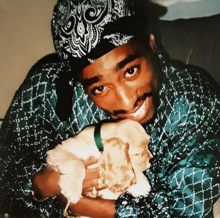 Tupac perro