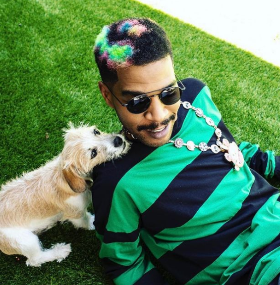 Kid Kudi perro