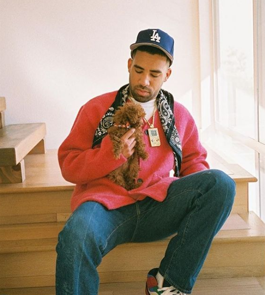 Kyle perro