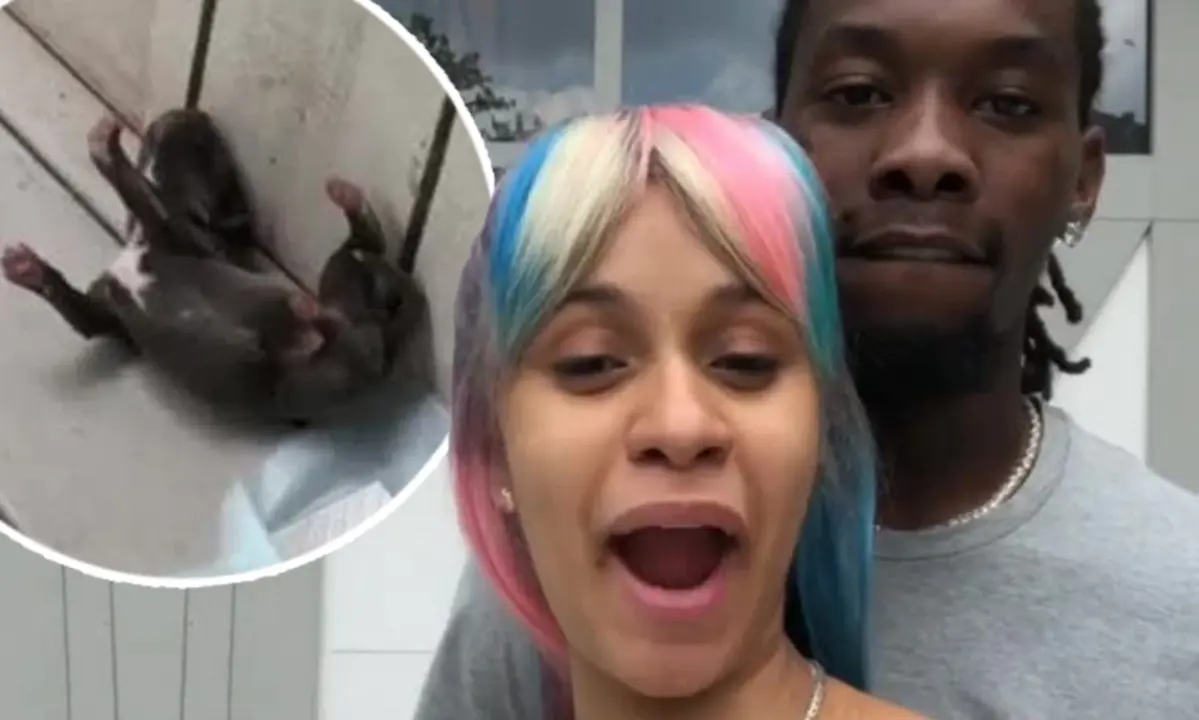 Cardi B y Offset perro
