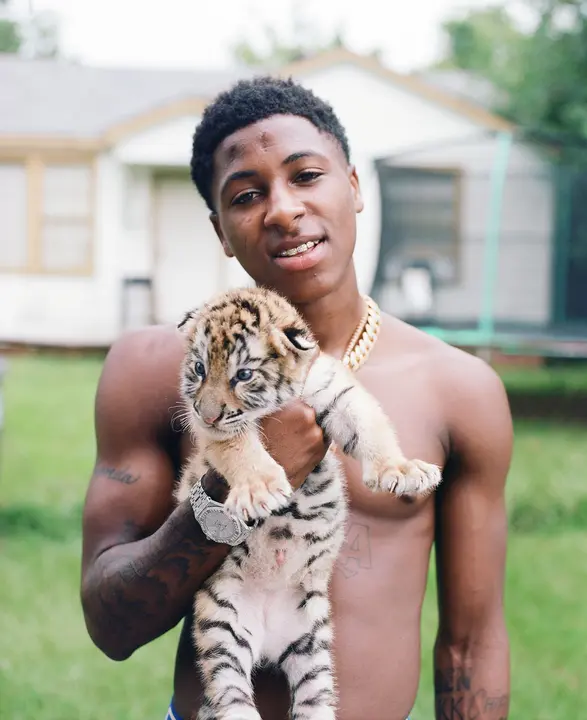 YoungBoy NBA tigre