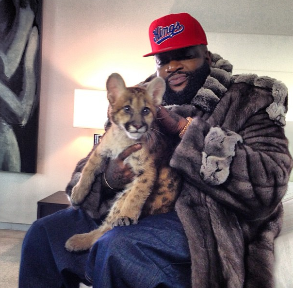 Rick Ross Tigre