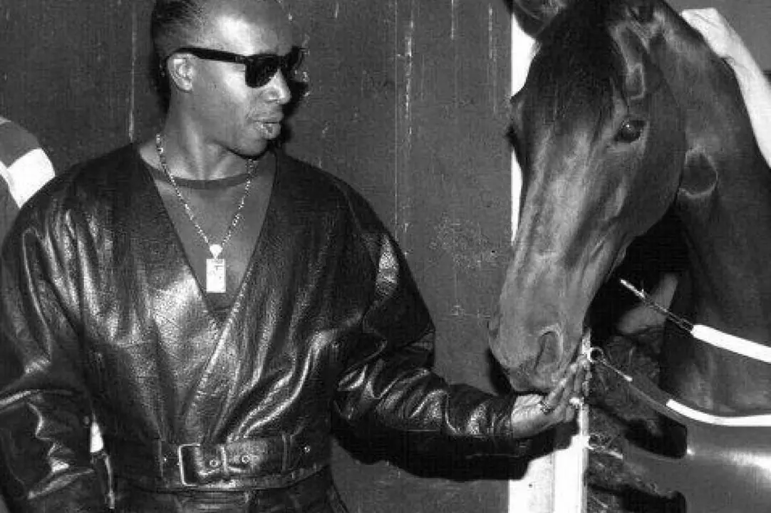 Mc Hammer Caballo