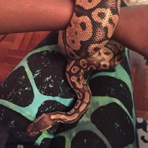 Azaleia-Banks-serpiente