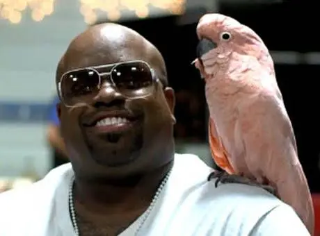 Ceelo Green Bird