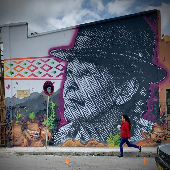 Colectivo Dexpierte(Colombia)