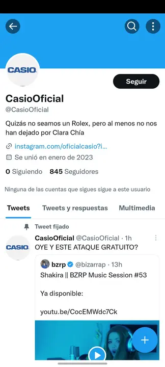 Pobre Casio