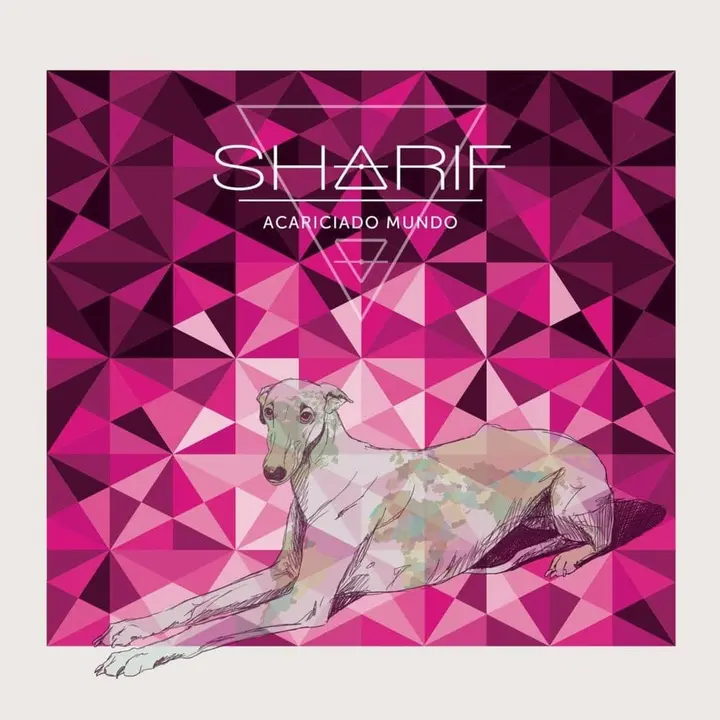 Sharif- La Primera Persona del Plural