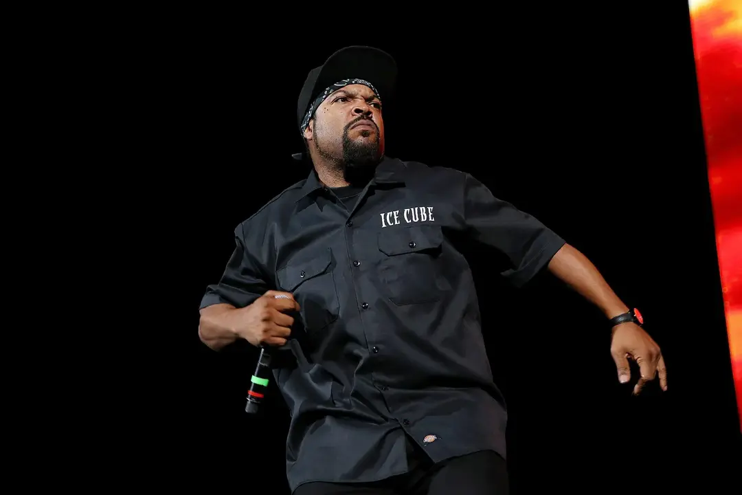 25. Ice Cube