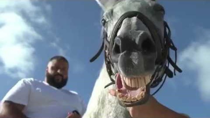 Dj Khaled acusado de matar un caballo en el rodaje de un videoclip