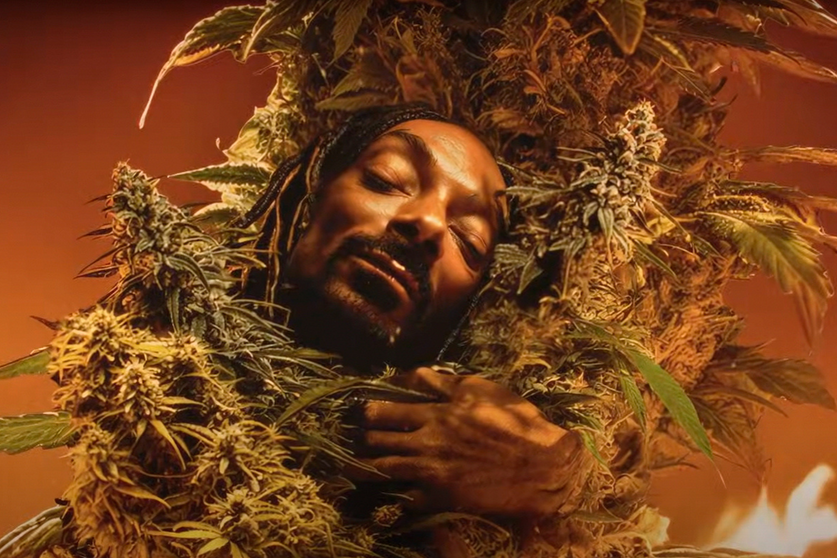 Snoop Dogg Mary Jane