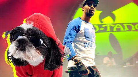 Woof-Tang Clan