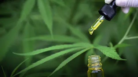 CBD cannabidol