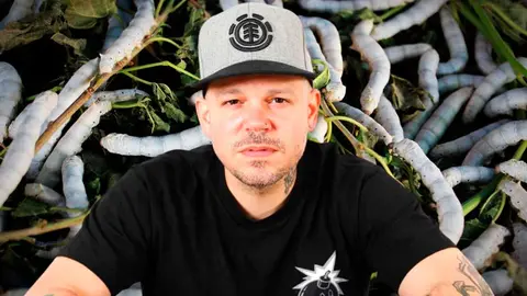 Residente gusanos&nbsp;