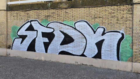 SFDK
