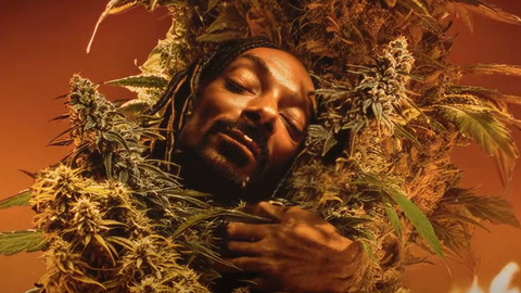 Snoop Dogg Mary Jane