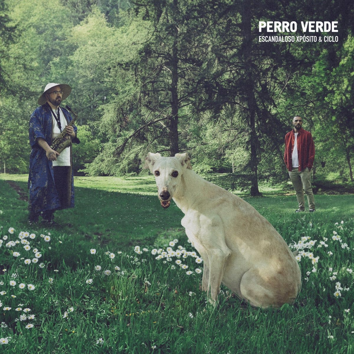 Perro Verde - Escandaloso Xpósito y Ciclo